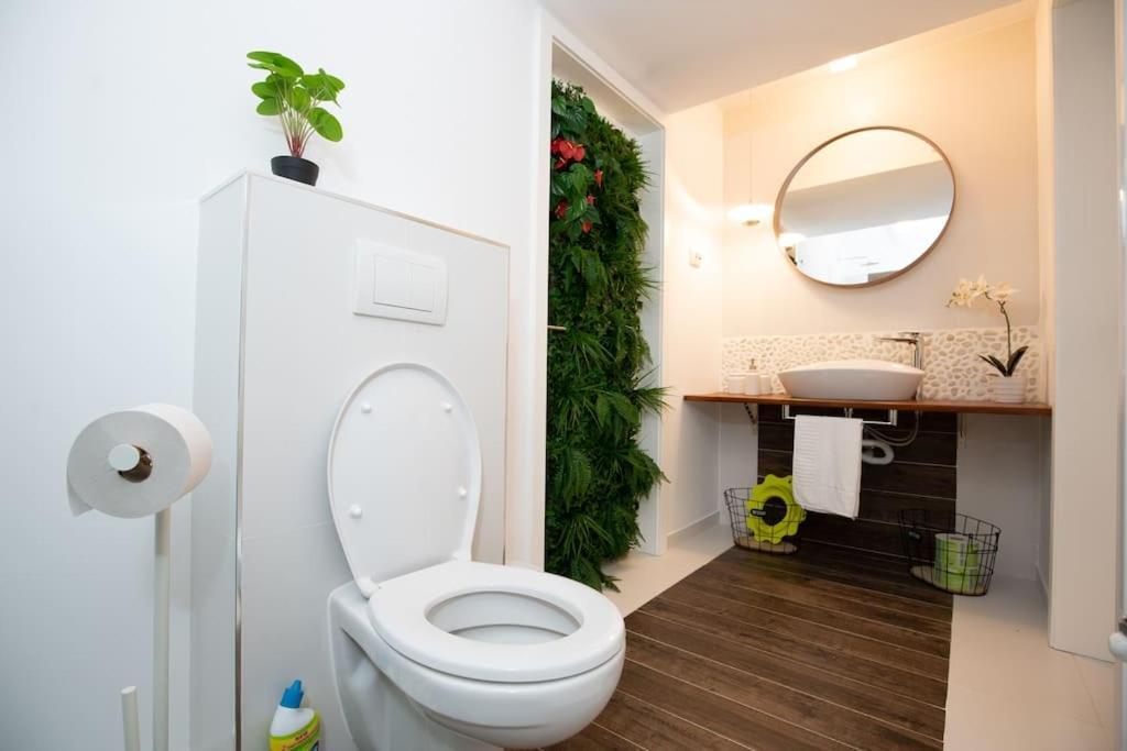 E-House Apartment Brasov Noua Exterior photo
